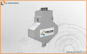 TRICOR CLASSIC系列 / TCE 6000科氏力流量計(jì)